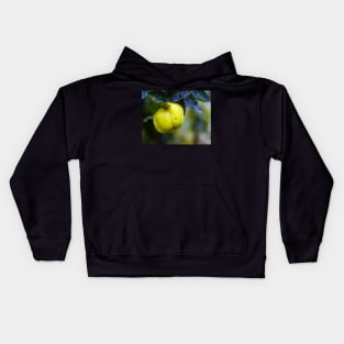 Yellow ripe quince on branch Kids Hoodie